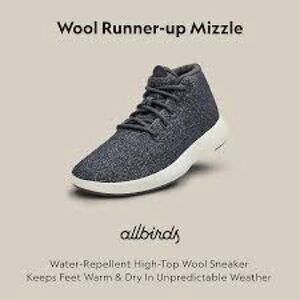 Allbirds Wool Runner-up Mizzle 👟 and